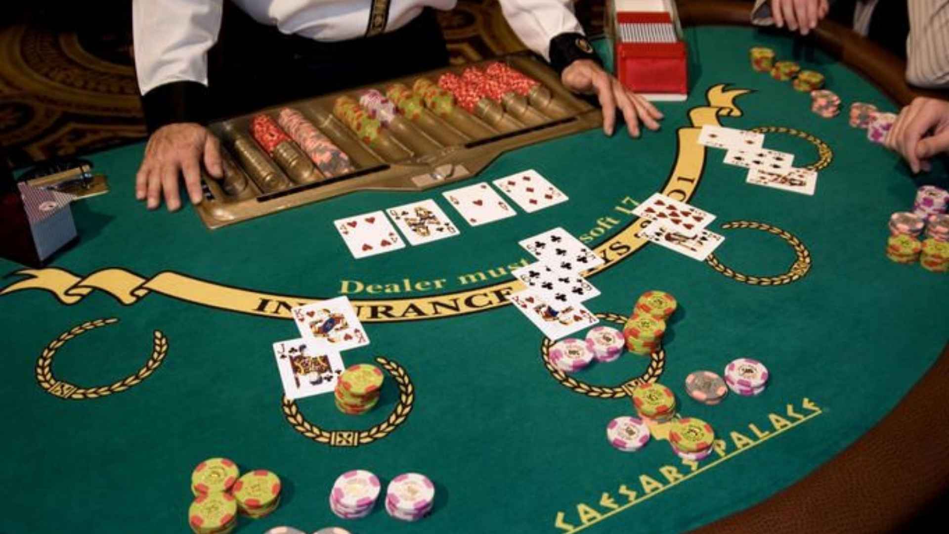 Learn Every Winning Move in Modern Bridge Games
